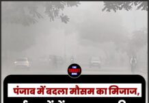 पंजाब में बदला मौसम का मिजाज, कई शहरों में झमाझम बारिश; अगले 7 दिन भी बरसेंगे बादल