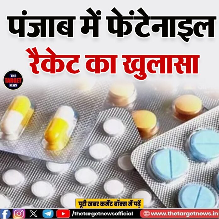 WhatsApp Image 2026-08-12 at 21.20.49 (1)