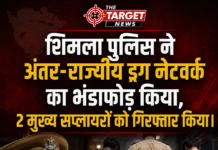 शिमला पुलिस ने अंतर-राज्यीय ड्रग नेटवर्क का भंडाफोड़ किया, 2 मुख्य सप्लायरों को गिरफ्तार किया।