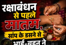 रक्षाबंधन से पहले मातम, सांप के डसने से भाई-बहन ने तोड़ा दम रक्षाबंधन से पहले मातम, सांप के डसने से भाई-बहन ने तोड़ा दम