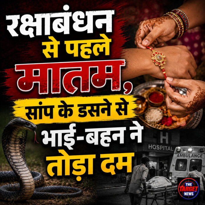 रक्षाबंधन से पहले मातम, सांप के डसने से भाई-बहन ने तोड़ा दम रक्षाबंधन से पहले मातम, सांप के डसने से भाई-बहन ने तोड़ा दम