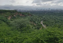 गुरुग्राम के लेपर्ड ट्रेल में जल्द दिखेगा नया नज़ारा: 1 एकड़ में पुनर्जीवित होगी जलधारा और बनेगा बटरफ्लाई पार्क गुरुग्राम के लेपर्ड ट्रेल में जल्द दिखेगा नया नज़ारा: 1 एकड़ में पुनर्जीवित होगी जलधारा और बनेगा बटरफ्लाई पार्क