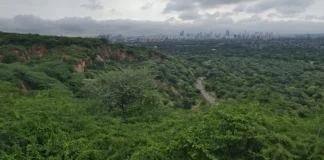 गुरुग्राम के लेपर्ड ट्रेल में जल्द दिखेगा नया नज़ारा: 1 एकड़ में पुनर्जीवित होगी जलधारा और बनेगा बटरफ्लाई पार्क गुरुग्राम के लेपर्ड ट्रेल में जल्द दिखेगा नया नज़ारा: 1 एकड़ में पुनर्जीवित होगी जलधारा और बनेगा बटरफ्लाई पार्क