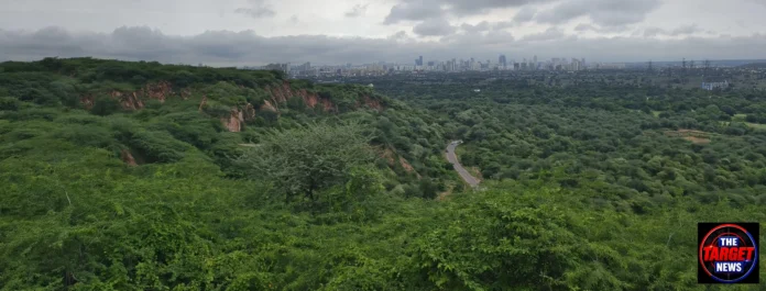 गुरुग्राम के लेपर्ड ट्रेल में जल्द दिखेगा नया नज़ारा: 1 एकड़ में पुनर्जीवित होगी जलधारा और बनेगा बटरफ्लाई पार्क गुरुग्राम के लेपर्ड ट्रेल में जल्द दिखेगा नया नज़ारा: 1 एकड़ में पुनर्जीवित होगी जलधारा और बनेगा बटरफ्लाई पार्क