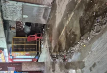 शहर के बस स्टैंड पर बरगद-पीपल का कब्जा: प्रशासन की अनदेखी से जर्जर हो रही इमारत, कभी भी हो सकता है बड़ा हादसा शहर के बस स्टैंड पर बरगद-पीपल का कब्जा: प्रशासन की अनदेखी से जर्जर हो रही इमारत, कभी भी हो सकता है बड़ा हादसा