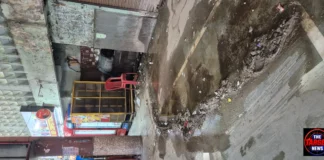 शहर के बस स्टैंड पर बरगद-पीपल का कब्जा: प्रशासन की अनदेखी से जर्जर हो रही इमारत, कभी भी हो सकता है बड़ा हादसा शहर के बस स्टैंड पर बरगद-पीपल का कब्जा: प्रशासन की अनदेखी से जर्जर हो रही इमारत, कभी भी हो सकता है बड़ा हादसा