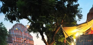 जयपुर बम धमाके: सुप्रीम कोर्ट का बड़ा फैसला, दोषियों की सजा पर रोक लगाने से किया इनकार जयपुर बम धमाके: सुप्रीम कोर्ट का बड़ा फैसला, दोषियों की सजा पर रोक लगाने से किया इनकार