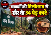वनकर्मी की मिलीभगत से खैर के 34 पेड़ काटे