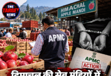हिमाचल की सेब मंडियों में बड़ी कार्रवाई! APMC ने 12 आढ़तियों को पकड़ा