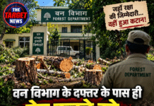 वन विभाग के दफ्तर के पास ही पेड़ कटते रहे, स्टाफ को भनक तक नहीं! 8 हरे पेड़ साफ