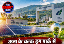 ऊना के बल्क ड्रग पार्क में सौर ऊर्जा का बड़ा प्रोजेक्ट, 14.2 MW उत्पादन