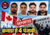 कनाडा से 4 पंजाबी नागरिक डिपोर्ट, वसूली और संगठित अपराध से जुड़े होने का आरोप