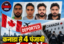 कनाडा से 4 पंजाबी नागरिक डिपोर्ट, वसूली और संगठित अपराध से जुड़े होने का आरोप
