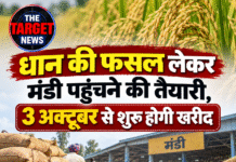 धान की फसल लेकर मंडी पहुंचने की तैयारी, 3 अक्टूबर से शुरू होगी खरीद