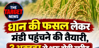 धान की फसल लेकर मंडी पहुंचने की तैयारी, 3 अक्टूबर से शुरू होगी खरीद