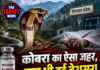 कोबरा का ऐसा जहर, दवा भी हुई बेअसर! हिमाचल में 2 मौतें