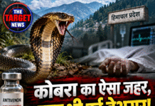 कोबरा का ऐसा जहर, दवा भी हुई बेअसर! हिमाचल में 2 मौतें