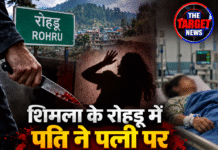 शिमला के रोहड़ू में पति ने पत्नी पर चाकू से किया वार, हालत गंभीर