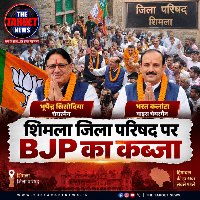 shimla result