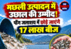 मछली उत्पादन में उछाल की उम्मीद! पौंग जलाशय में छोड़े जाएंगे 17 लाख बीज
