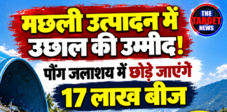 मछली उत्पादन में उछाल की उम्मीद! पौंग जलाशय में छोड़े जाएंगे 17 लाख बीज