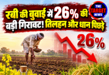 रबी की बुवाई में 26% की बड़ी गिरावट! तिलहन और धान पिछड़े