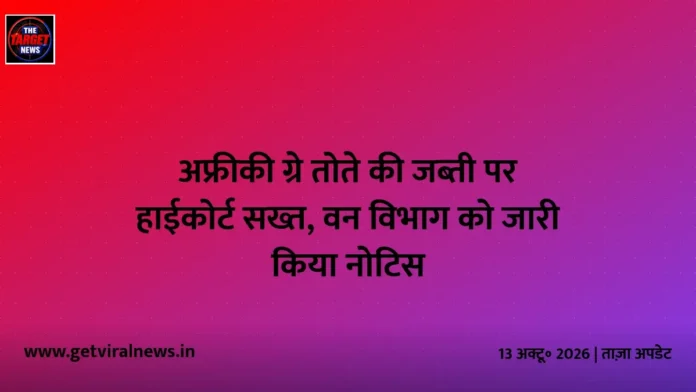 अफ्रीकी ग्रे तोते की जब्ती पर हाईकोर्ट सख्त, वन विभाग को जारी किया नोटिस अफ्रीकी ग्रे तोते की जब्ती पर हाईकोर्ट सख्त, वन विभाग को जारी किया नोटिस