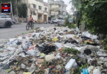 कपूरथला के कचरे संकट पर हंसपाल भाइयों का अनूठा समाधान, पांच मिनट में बिना छुए होगा निस्तारण कपूरथला के कचरे संकट पर हंसपाल भाइयों का अनूठा समाधान, पांच मिनट में बिना छुए होगा निस्तारण
