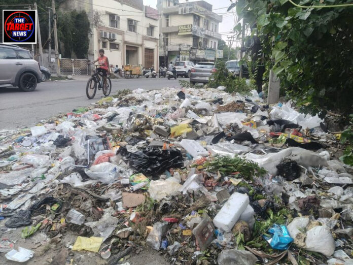 कपूरथला के कचरे संकट पर हंसपाल भाइयों का अनूठा समाधान, पांच मिनट में बिना छुए होगा निस्तारण कपूरथला के कचरे संकट पर हंसपाल भाइयों का अनूठा समाधान, पांच मिनट में बिना छुए होगा निस्तारण