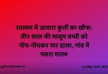 रतलाम में आवारा कुत्तों का खौफ: तीन साल की मासूम बच्ची को नोंच-नोंचकर मार डाला, गांव में पसरा मातम रतलाम में आवारा कुत्तों का खौफ: तीन साल की मासूम बच्ची को नोंच-नोंचकर मार डाला, गांव में पसरा मातम