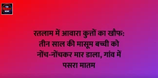 रतलाम में आवारा कुत्तों का खौफ: तीन साल की मासूम बच्ची को नोंच-नोंचकर मार डाला, गांव में पसरा मातम रतलाम में आवारा कुत्तों का खौफ: तीन साल की मासूम बच्ची को नोंच-नोंचकर मार डाला, गांव में पसरा मातम
