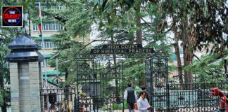 शिमला में 14 और 17 मंजिला इमारतों के निर्माण पर हाईकोर्ट सख्त, सरकार से मांगा जवाब शिमला में 14 और 17 मंजिला इमारतों के निर्माण पर हाईकोर्ट सख्त, सरकार से मांगा जवाब