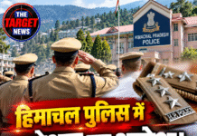हिमाचल पुलिस में प्रमोशन का आदेश! 7 अधिकारियों का रैंक बढ़ा, 7 को मिली नई पहचान