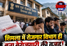 शिमला में रोजगार विभाग ही बना बेरोजगारी की वजह! 13 साल से नौकरी कर रहे 160 कर्मियों की छुट्टी