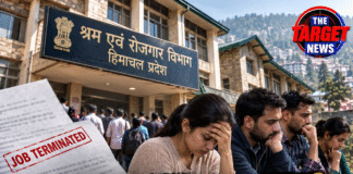 शिमला में रोजगार विभाग ही बना बेरोजगारी की वजह! 13 साल से नौकरी कर रहे 160 कर्मियों की छुट्टी