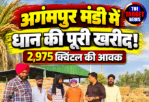 अगंमपुर मंडी में धान की पूरी खरीद! 2,975 क्विंटल की आवक