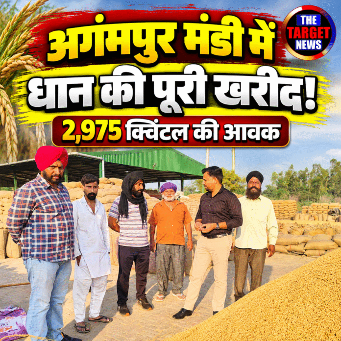 पंजाब मंडी में धान की पूरी खरीद
